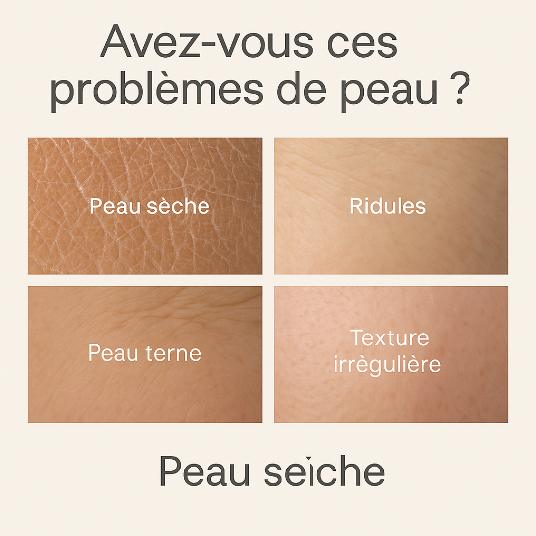 Seravine™ Crème Régénérante Éclat & Fermeté