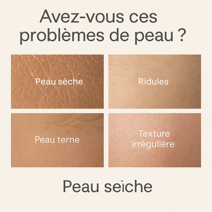 Seravine™ Crème Régénérante Éclat & Fermeté