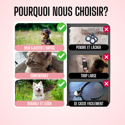 Collier AirTag pour chats et petits chiens